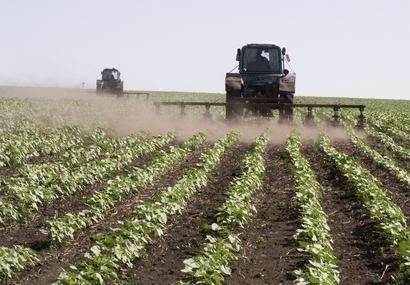 AIC desenvolvido é uma maneira de atender a demanda por alimentos