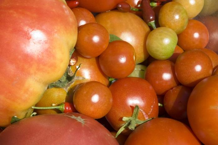 O superfosfato é um fertilizante cuja aplicação é necessária!