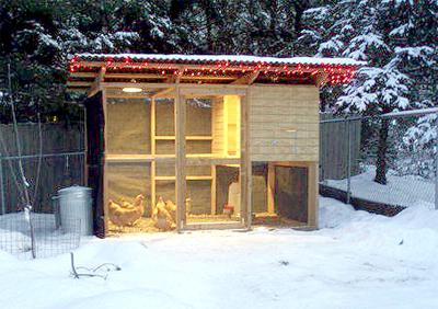 casa de galinha no inverno 