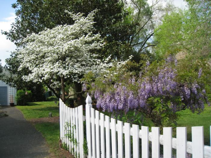 cercas de madeira para o jardim da frente