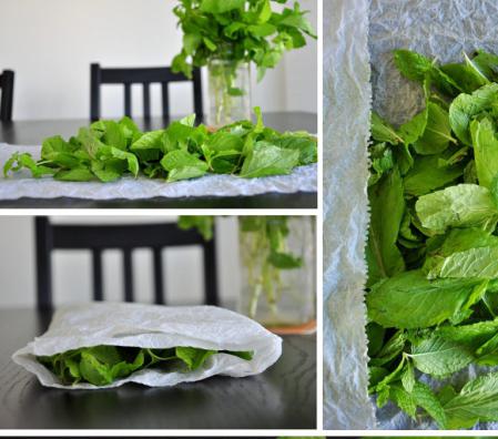 como guardar verduras frescas na geladeira 