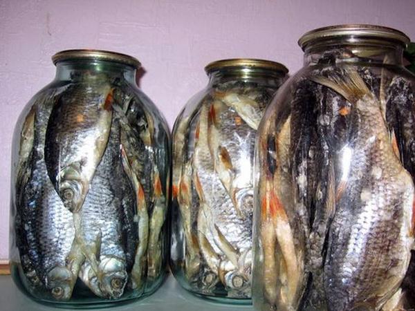 Como armazenar peixe seco em casa. Regras de cozinhar peixe