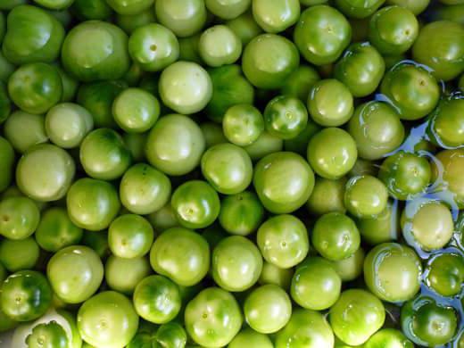 Tomates "hedgehogs" com alho para o inverno - uma das receitas para a preservação da casa