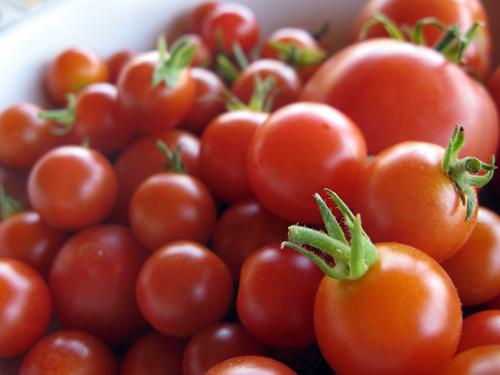 tomates com mostarda maneira fria 