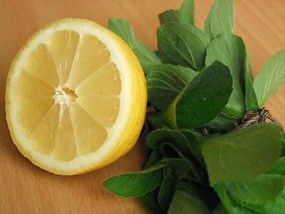 Geléia de menta e limão: receita