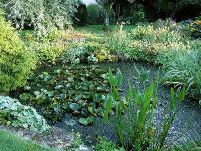 Artesanato para jardim e jardim: lindas e originais