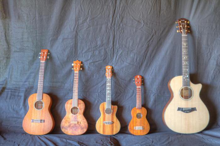 O que você precisa saber para ajustar o ukulele