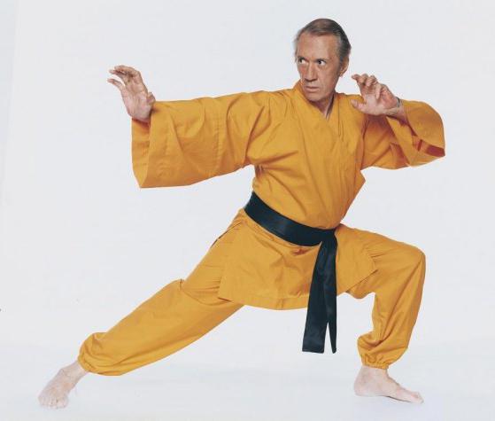 tai chi com david carradine 