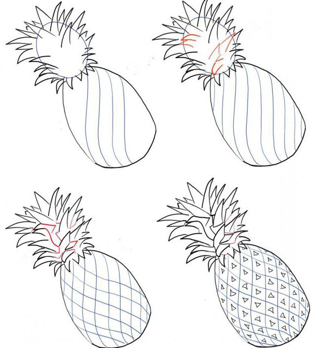 Detalhes sobre como desenhar abacaxi