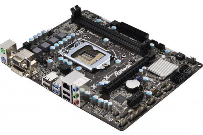 asrock b75m dgs drivers