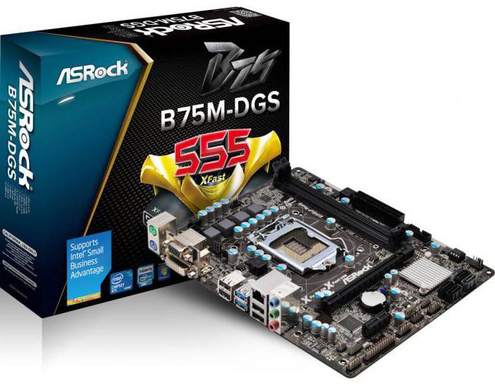 placa-mãe asrock b75m dgs