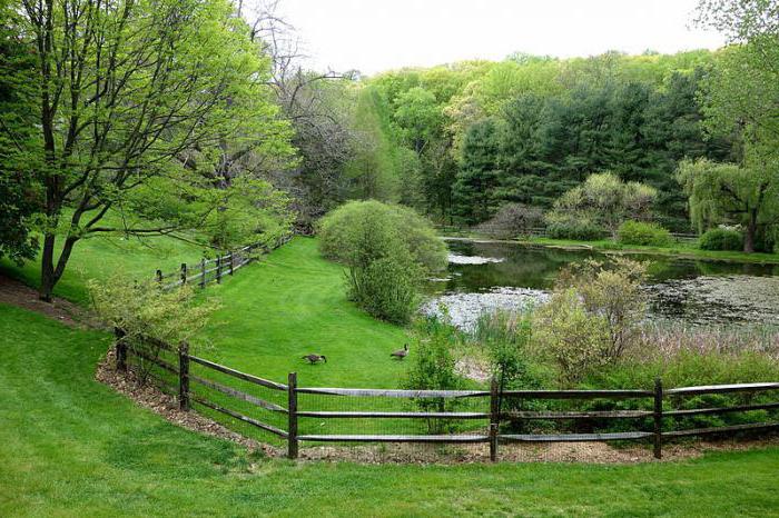 O que são parques dendrológicos e jardins botânicos?