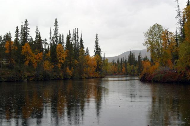 Região de Murmansk da Reserva da Lapônia