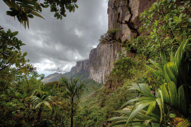 Planalto da Guiana: descrição, localização, clima