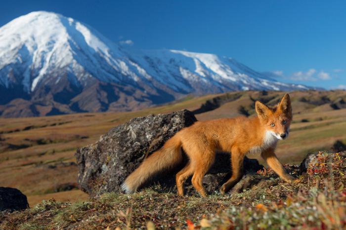 a natureza da Rússia Kamchatka