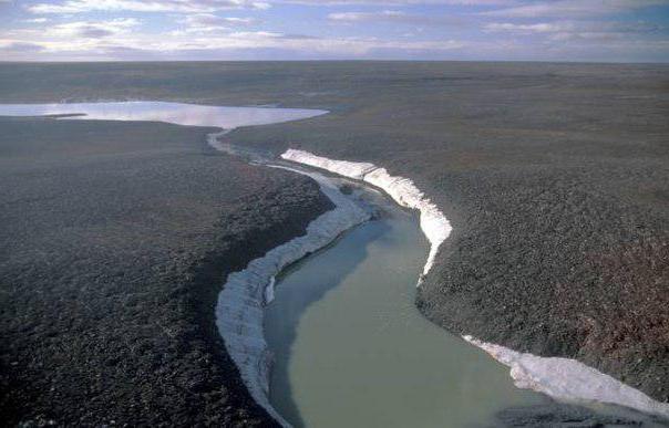 onde fica a ilha bolchevique