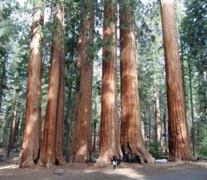 natureza estados unidos