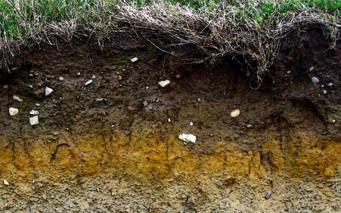 Condições de habitat. Definição e classificação