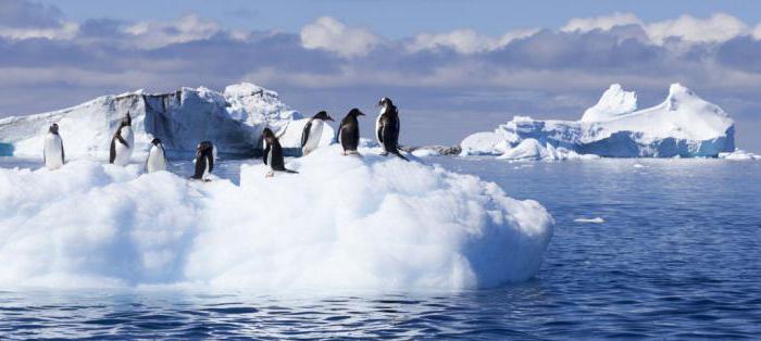 vulcão continente antártica