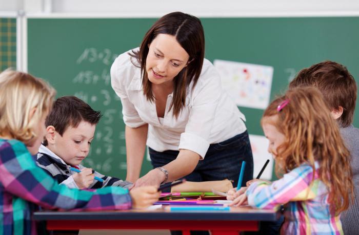 didática como ramo da pedagogia