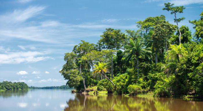 Rio Ebola em África