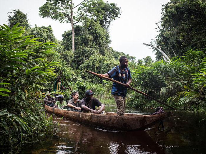 Zaire River Ebola