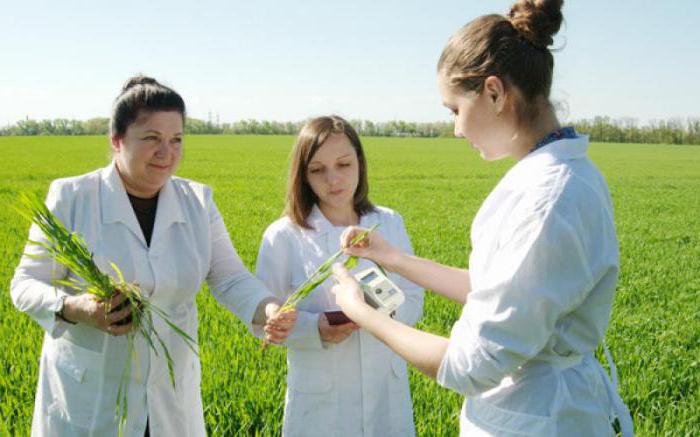 Krasnodar, Universidade Agrária: faculdades