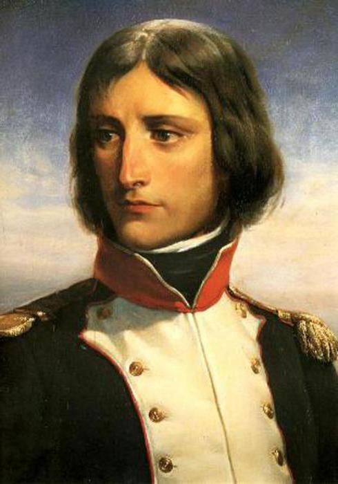 Resumo da biografia de napoleon bonaparte