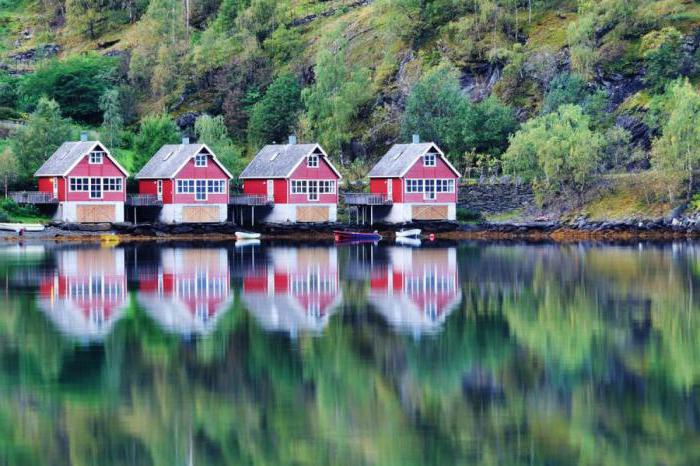 A língua oficial da Noruega: como se originou, como se parece e que espécies compartilha