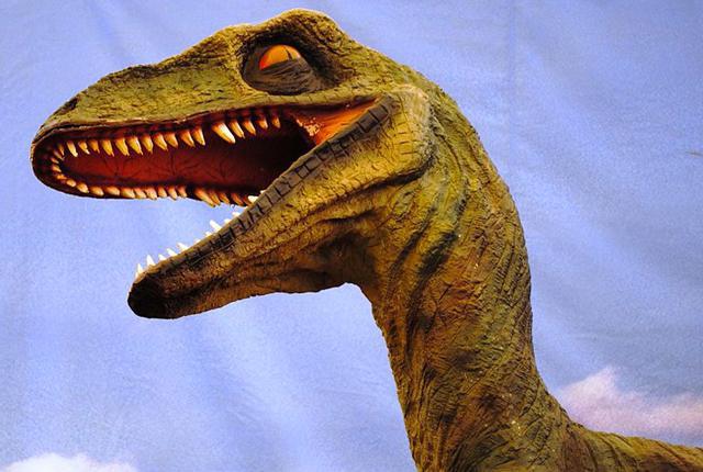 O maior raptor é o dinossauro da família de dromaeossaurídeos sanguinários