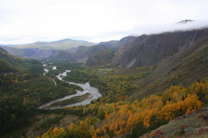 Altai Reserve é um dos destaques do território de Altai