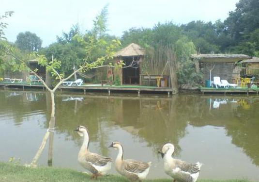 Achigerva Lake avaliações