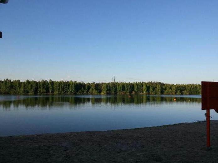 Lagoas da floresta de Tyumen