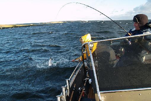 pesca na baía de finlandês