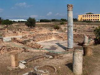 O que fazer em Tunísia Hammamet 