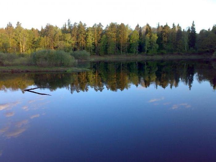 rio da região de Nizhny Novgorod