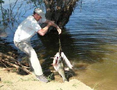 pesca no Volga