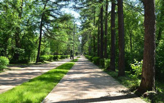 Parque Sokolniki, Moscou