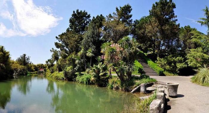 culturas do sul do parque como chegar a partir de Sochi