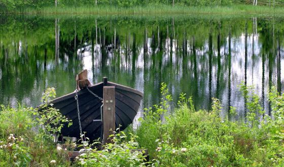 Foto de Nature of Karelia