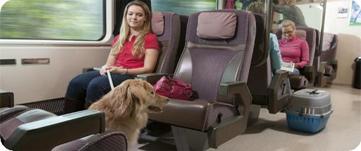 Iniciando férias: regras para o transporte de animais no trem