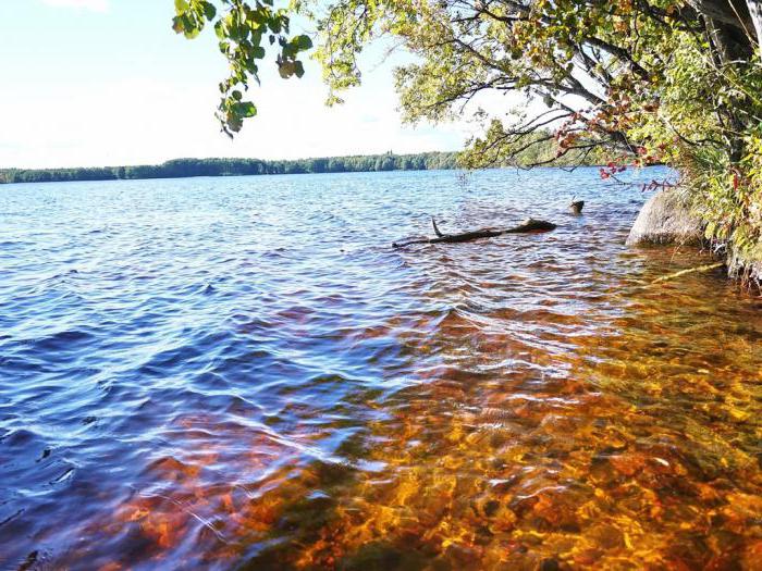 lago gorovaldayskoe comentários