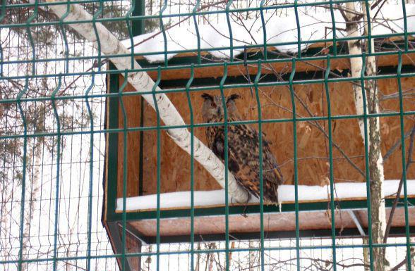 ingressos para o zoológico