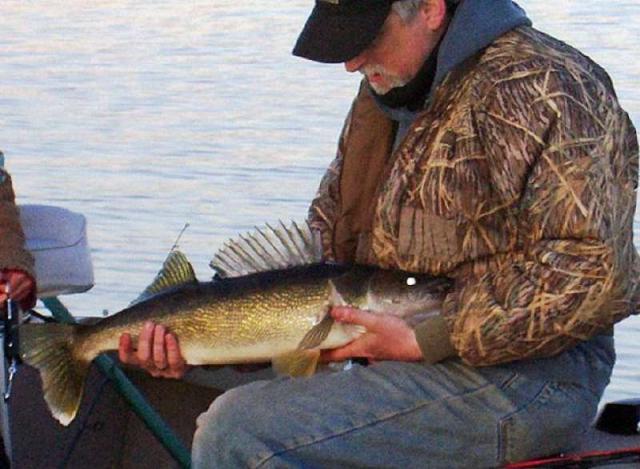 Pesca para poleiro