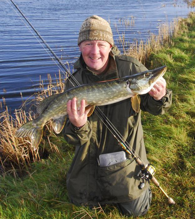 Pesca de outubro na região de Moscou 