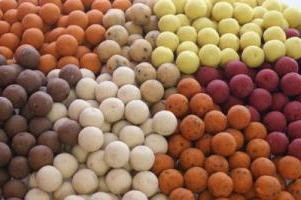 Segredos de pesca: captura carpa na boilies