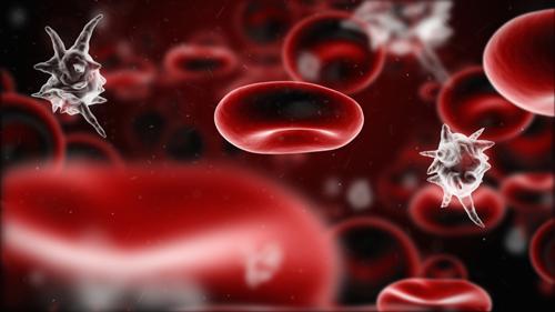 plaquetas baixas no sangue da causa