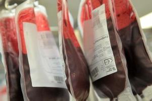 procedimento de doação de sangue