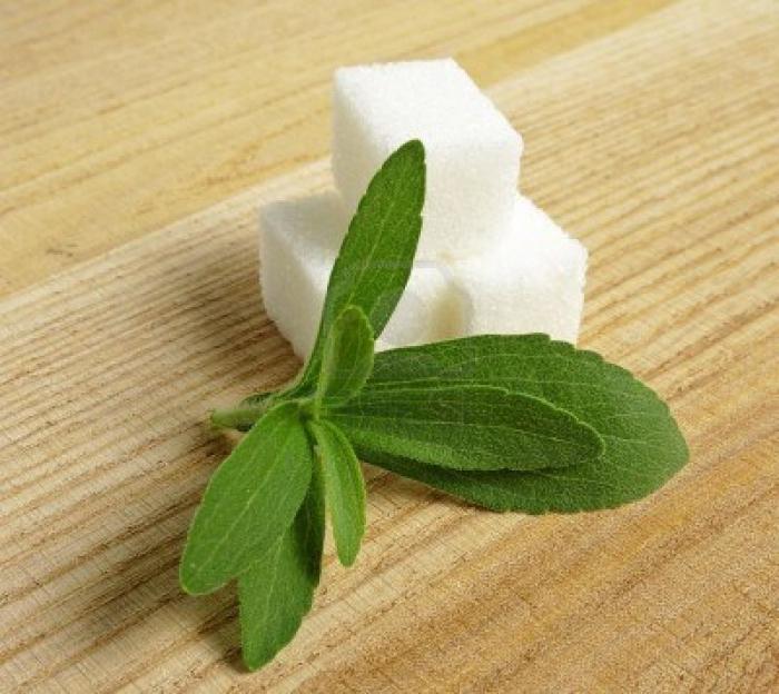 contra-indicações de stevia